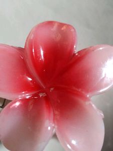 Hair claw Clip