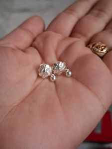 Beautiful New Silver Earrings