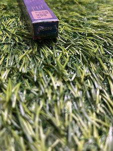 Paro Bold Define Kajal