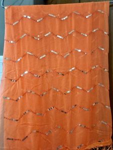 Orange Sequin Dupatta