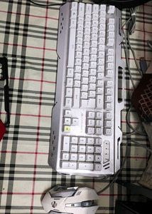 Zebronics Mechanical Gaming Keyboard & Mouse Combo