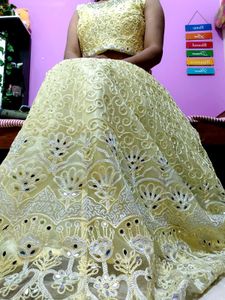 Embroidered Lehenga &amp; Choli