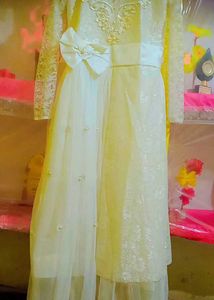 Elegant Ethnic Dress