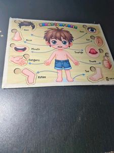 Human Body Parts Wooden Puzzle