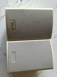 Ahuja 6W Speaker X2