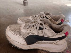 Picaaso Running Shoes