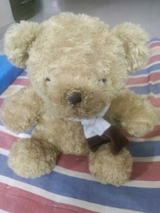 Cute Teddy Bear
