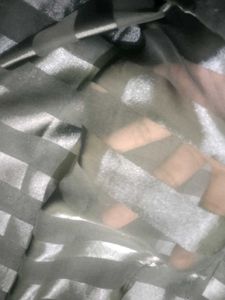 Grey Transpanet Saree