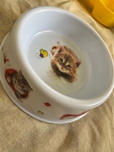 Pet Food Bowl x 1