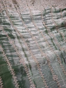 Lehenga limited sale