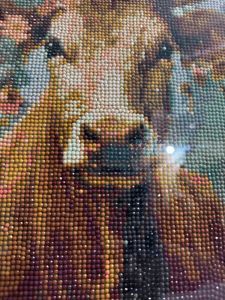 Diamond painting Art Work (Hand Crafted)