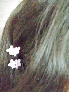 Pretty Star Hair Pins ✨