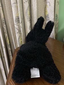 Black Dog  Soft toy 🐶