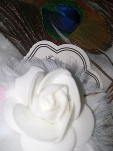 Beautiful Clip For Girls.. Look Cute 💗