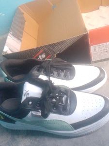 New Condition Shoes