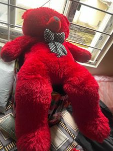 Large Teddy
