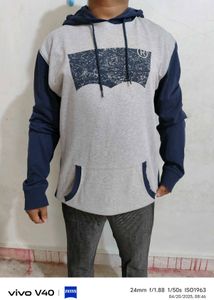 Levi&#39;s Colorblock Hoodie