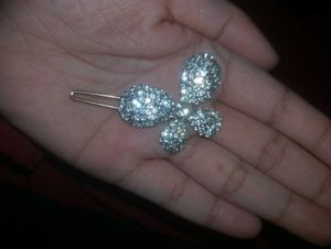 Hair Clips