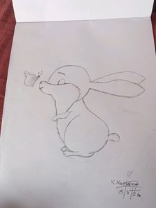 Artwork  Rabbit And A Butterfly