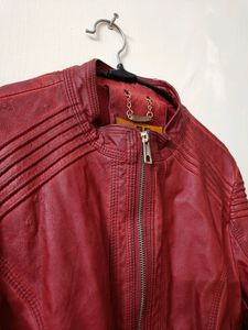 Pure Leather Jacket (Price Negotiable)