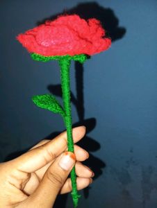 Beautiful Red Rose 🌹