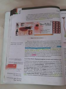 NCERT Biology Class 12