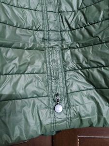 Women Olive Green Padded Jacket