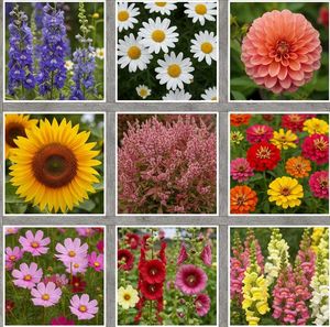 Mixed Flower Seed Collection with Fungicide Powder
