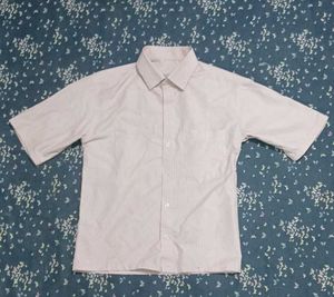 Striped Short Sleeve Shirt