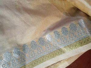 Saree Without Blouse