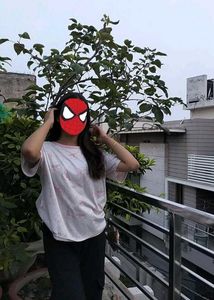 Casual Printed T-shirt