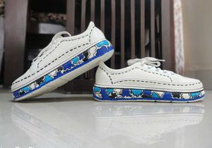 hand Painted sneakers
