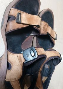 Woodland Brown Men's Sandals
