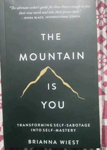 The Mountain Is You Book