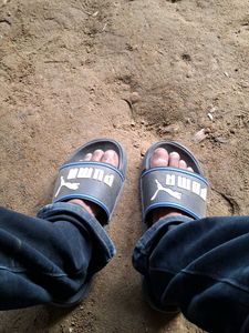 Puma Slides