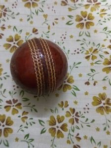 Cricket Season Ball