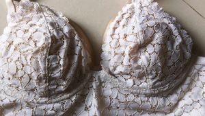 Beautiful Net Wired Bra