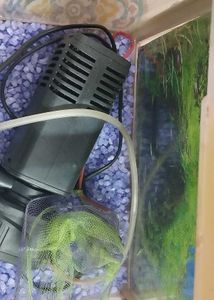 Used Aquarium with filter, stones,