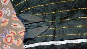 Ravishing Sheer Blouse !