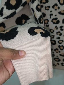 Cheetah 🐆 Print Sweater