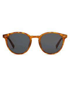 Tortoise Grey Full RimRound Vincent Chase Holiday