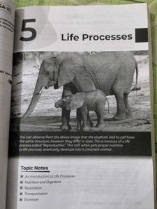 CBSE Class 10 Science Book