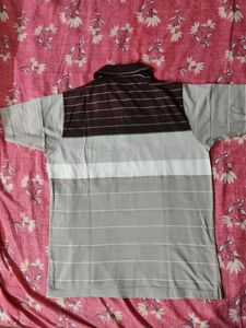 Striped Polo Shirt