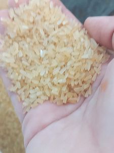 Premium Brown Rice