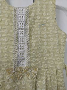 Beautiful Chickenkari Frock