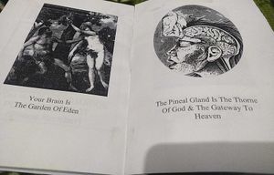 Lucifer Was Innocent Book