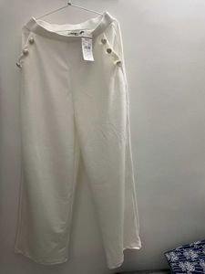 A business formal pant