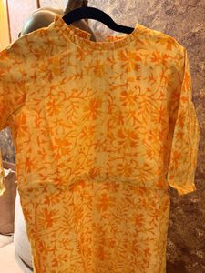 Elegant Ethnic Gown
