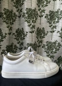 New Basic White Leather Sneaker