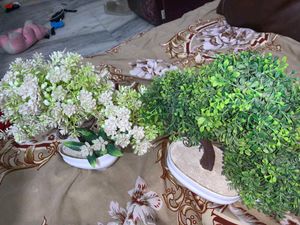 Pack Of 2 Artificial Plant
